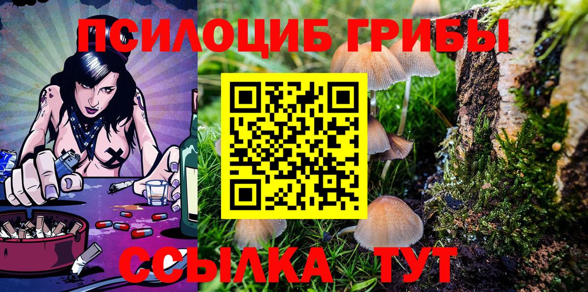 Псилоцибиновые грибы GOLDEN TEACHER Петрозаводск